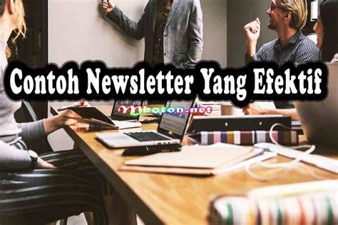 MindgeeK melalui email newsletter flanel moto & drum mid side sound library expansion santai image 2