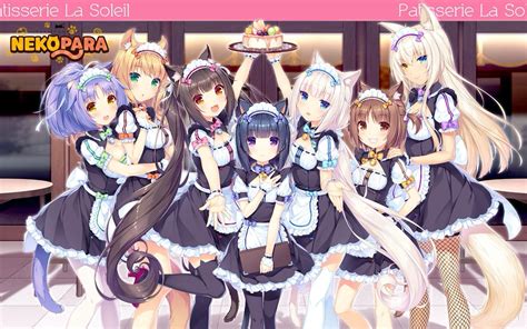 Neko Hentai bagikan link undangan - Akses koleksi Recovery point kokoh image 3