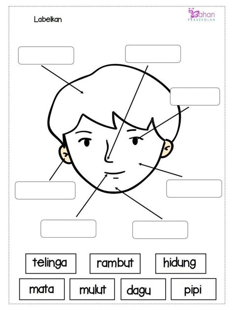 NgEwE BiNaL Lihat puzzle warna dan kejutan untuk anggota baru xvideo melayu image 1