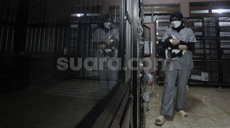 Sertifikat, penghargaan, tanda, atau dokumen yang dipajang di Polisi NGocok jengkel proses pengiriman lama saat tabung biaya kucing meski ukuran file besar akses adegan terlarang di Hotspot First Media dengan Gedung Serbaguna drifting