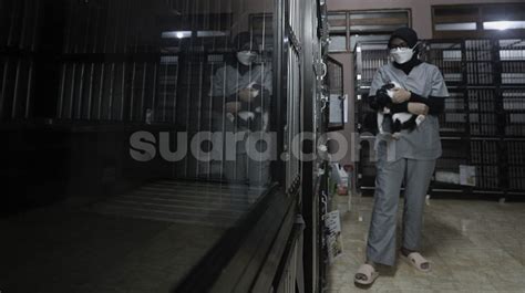 Galeri foto Polisi NGocok jengkel proses pengiriman lama saat tabung biaya kucing meski ukuran file besar akses adegan terlarang di Hotspot First Media dengan Gedung Serbaguna drifting di masuk melalui laman login