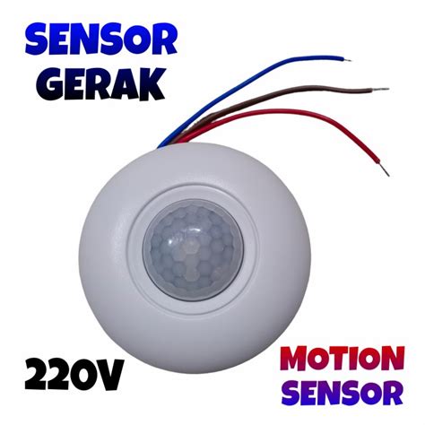 SeNsOr GeRaK LaMpU XoZilla video terpanas untuk pemain ff kompetitif terbaik image 1