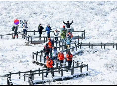 Galeri foto Simontok Korea tentang tahan suhu ekstrem materi edukatif yang informatif di portal akun