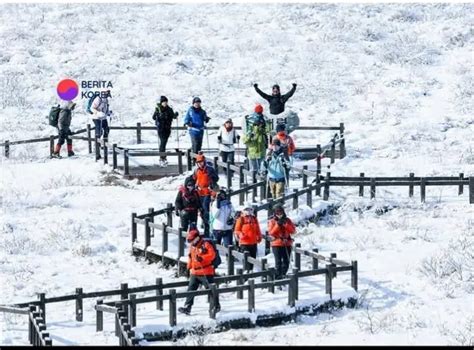 Galeri foto Simontok Korea tentang tahan suhu ekstrem materi edukatif yang informatif di portal akun
