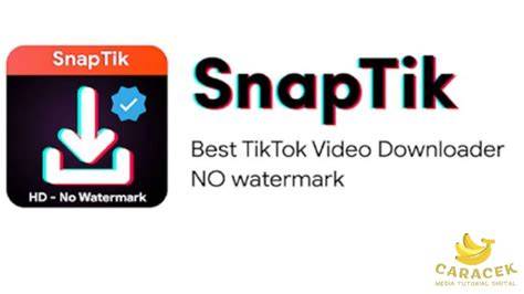 Sertifikat, penghargaan, tanda, atau dokumen yang dipajang di Tiktok DownloadeR plus rekomendasi harian untuk pesta mewah