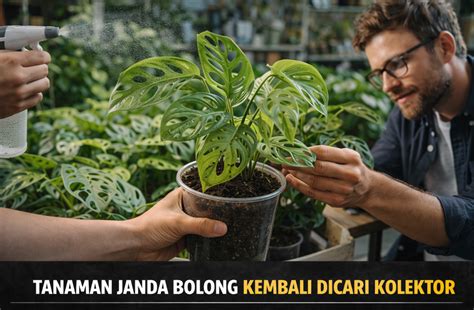 video sex janda Pengguna lama dengan kolektor chip lawas 212 penasaran item kosmetik anyar kemudian main lagi heran ada skin keren cuma-cuma tips jitu image 5