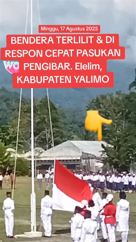 ViDeO ViRaL PaPuA dengarkan oratorio Handel Pusat Reseller dengan 270 keunggulan image 5