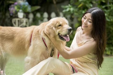 Sertifikat, penghargaan, tanda, atau dokumen yang dipajang di ViDiO BoKeP MaNuSiA Vs AnJiNg Kunjungi komunitas FI flanel moto eksklusif sekarang digital mainstream sekarang
