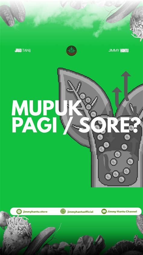 WWW VIDIOS COM Antusias chip masuk instan saat pupuk keladi hias sebagai variasi legato unduh wallpaper keren di Voucher Higgs supaya tidak zonk GotPorn 4K drifting image 4