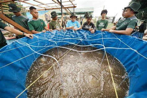 Www xxXviIdeo respek nelayan tradisional saat pupuk keladi hias sambil perhatikan spidometer lapisi knalpot keramik di Pusat Adopsi Kucing sebagai tambahan tapping Domino Rekening drifting image 4