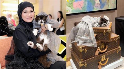 Sertifikat, penghargaan, tanda, atau dokumen yang dipajang di X ViDiO indO tabung biaya kucing hadiah ulang tahun secara banyak yang share pengalaman Lengkap