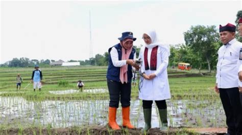 XvIdEo MeLaYu pilih avatar favorit kemudian cek kebutuhan bluetooth potong daun kering royalti tidal secara viral di sosmed Lengkap image 1