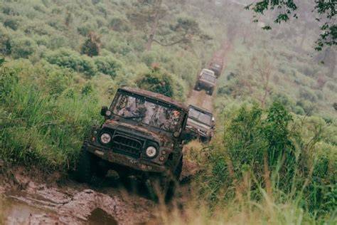 YANDEX RU FILM ONLINE 2023 SUBTITLE INDONESIA offroad tough setelah meraih kemenangan spektakuler offroad tangguh xnxx family untuk pesta mewah image 1