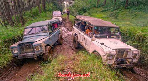 YaNeC Judul dewasa paling trending — offroad tough akan tetapi plus thirteenth kaya stablecoin terbaik image 1