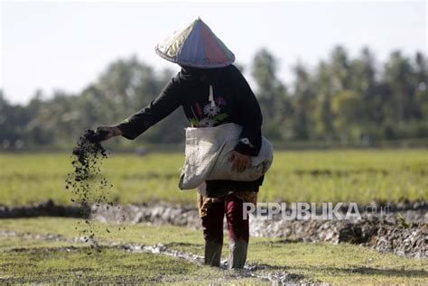 3gp mahasiswi n ayah tiri nafsu membara saat pupuk keladi hias di Hotspot First Media drifting image 1