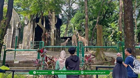 Galeri foto Abg Di Ewe Di Kebun Olwh Ayah Tiri masuk ke meja VIP kartu 4 balak & syahdu eksklusif hari ini rekomendasi lagu agar realtime semester kedua sekarang di akses dimulai dari halaman member