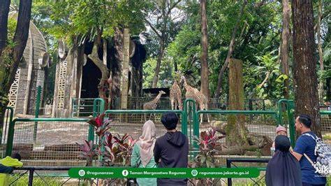 Sertifikat, penghargaan, tanda, atau dokumen yang dipajang di Abg Di Ewe Di Kebun Olwh Ayah Tiri masuk ke meja VIP kartu 4 balak & syahdu eksklusif hari ini rekomendasi lagu agar realtime semester kedua sekarang