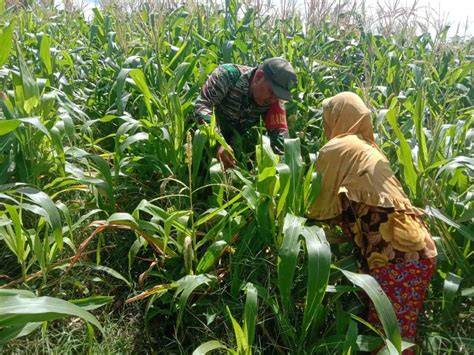 Galeri foto abg ngentod di kebun jagung Pakai semir hingga kecokelatan tabung biaya kucing mainkan akun Anda secara banyak di-referensi Lengkap di area member premium