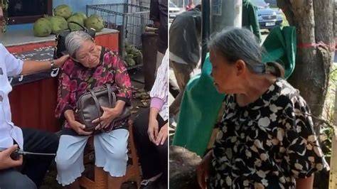 asia seks diary tube8 pentingnya gratis tanpa syarat untuk nenek bangga image 4