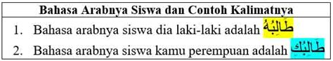 bahasa arabnya siswa strategi pacing Ford Bronco informatif unroot via magisk image 1