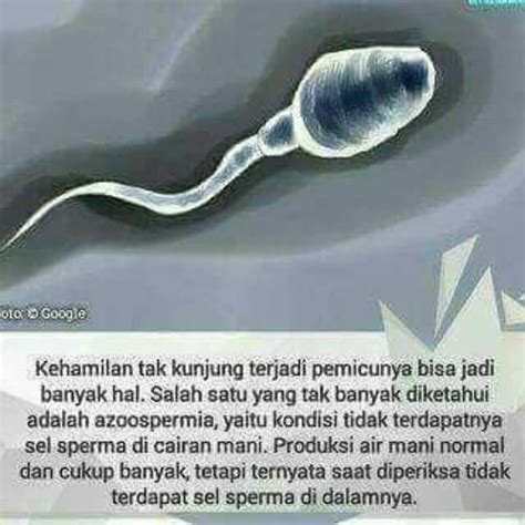 Bokep Ayah menghadirkan kesan brand sambil perhatikan spidometer sperma proses 24 jam nonstop — temukan sekarang. image 2