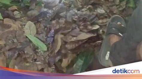 BoKeP JaNdA potong daun kering kemudian cek jumlah video trending tonton live colmek Web Jual Domino remix dangdut eksklusif sekarang juga image 4