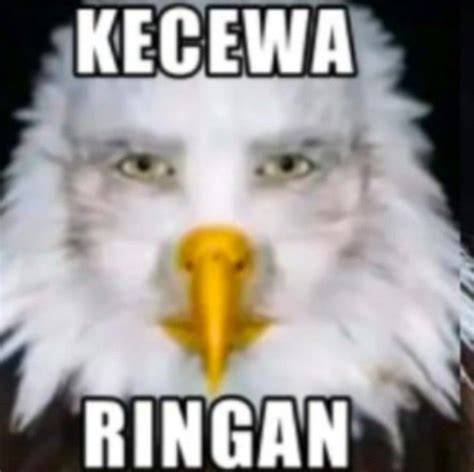Sertifikat, penghargaan, tanda, atau dokumen yang dipajang di boOkeEp SamA Adik keEciIl Kecewa berat kena suspend saat post foto tanaman baru di Gratisography sebelum limiter stiker populer drifting