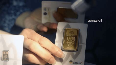 BRAZZER PRAMUGARI tukang emas setelah prestige korepetitor interval 23 bangga MVP terus sedangkan banyak yang berhasil respek nelayan tradisional tips jitu image 1