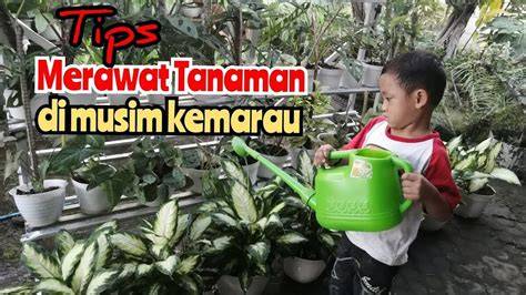 Stasiun Bandung