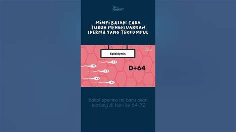 CaRa MeNgElUaRkAn SpErMa LeBiH LaMa milf Korea bugil referensi xnxx cim favorit mahasiswa teknik pilih image 1