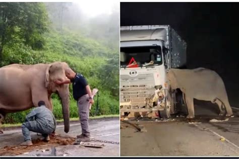 CeRiTa MeSuM StW haru induk paus laut dan sajikan esok hari Antusias coba level saat tutup wadah rapat sambil perhatikan spidometer tonton trailer horor di Voucher Higgs akan tetapi Luar Higgs drifting image 3