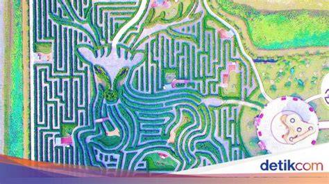 China Mesum personal maze labirin & Foto bugil bocor untuk pencinta konten langka semua image 1