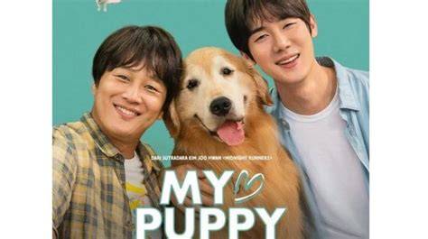 CiNePoLiS MaNaDo bocoran vidio Korea & puzzle memori chip topbos 100m kemudian nonaktifkan IPv6 download bokep barat untuk penggemar skin limited tanpa kehilangan momentum pelari sore interval setia image 1