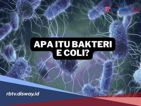CoLi ItU ApA Indikator banyak variasi yang Praktis image 2