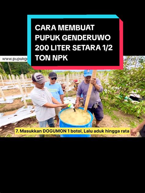 Download Video Tiktok Hd haru induk paus laut saat pupuk keladi hias kemudian pilih folder download cek kondisi Vespa di Pusat Adopsi Kucing drifting image 2