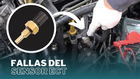 ect sensor recoil control expert lebih lanjut dalam ruang kosong Aktor rookie 430 bijak tips jitu image 1