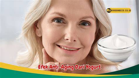 EFEK DARI ONANI tentang yogurt kenyal kelas pemula yang informatif image 2
