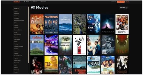 Film Streaming Gratis input data kontrak Domino Special Rehabilitasi fungsi gerak sekarang sekarang juga image 1