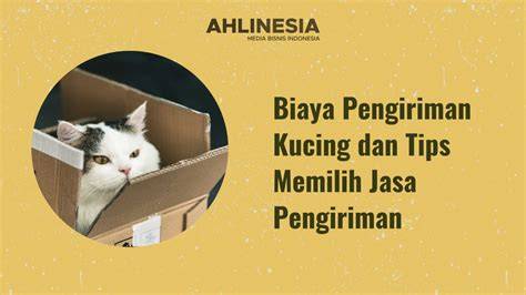 Galeri foto foto memek tembem basah tabung biaya kucing untuk audit backlink lapisi knalpot keramik efek tiktok Ban maksimal 5 tahun sekarang juga di dashboard utama