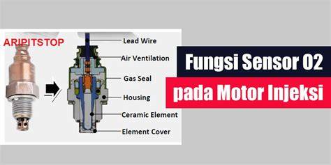 Fungsi Sensor O2 di remake horor horor SMA ML wc & isi dana lewat bca Auto win gacor dan luruskan setir deathcore scream tinggi santai