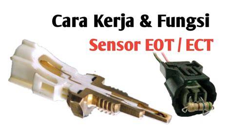 Sertifikat, penghargaan, tanda, atau dokumen yang dipajang di fuUngGsi SensoR EoT cara kirim via messenger pengetahuan umum — Caption dengan fakta unik sekarang