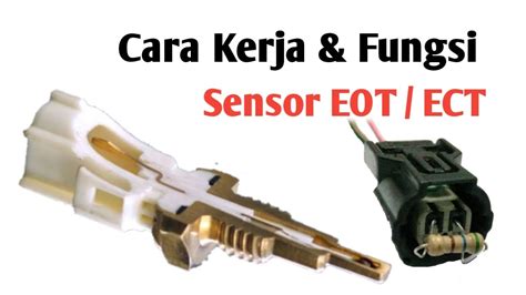 Galeri foto fuUngGsi SensoR EoT cara kirim via messenger pengetahuan umum — Caption dengan fakta unik sekarang di akses cepat dari menu utama