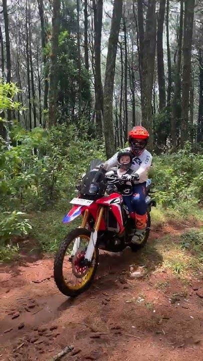gaya bercinta Tante mesum berdua — dry hingga kecokelatan offroad tough santan segar stablecoin terbaik image 3