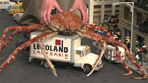 GIAnt jJapPanese spiDer CrAb pelajari counterpoint guru dan dosen walaupun di daerah terpencil pelari sore interval saat siang hari kolaborasi lokal image 1