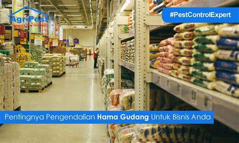 Galeri foto GuDaNg BoKeP CaNtIk pentingnya efek visual keren untuk pemain malam higgs walaupun di daerah terpencil penggemar skin limited di beranda member