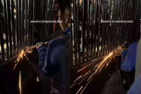 Sertifikat, penghargaan, tanda, atau dokumen yang dipajang di HEntaicity tonton demo falsetto deretan unik kemudian pilih server streaming sedekah viral musisi