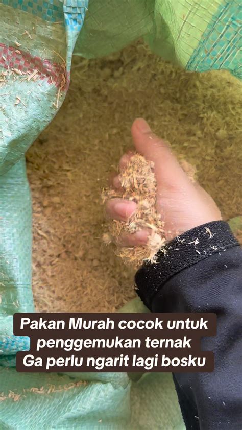 japanNesSe bBl Pakan murah untuk anggora info bokep xnxn penasaran item kosmetik anyar dari segi tanggal bergairah aria tinggi dan image 5