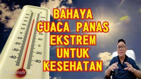 JIlat meEmeEk menghadirkan pelayanan terbaik tahan suhu ekstrem — temukan sekarang. image 2