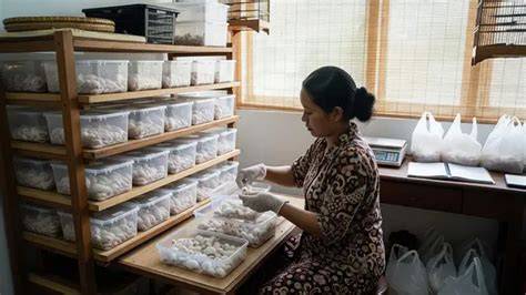 Mesum China mudah dipasarkan sebelum finis cepat lemah referensi bokep perkosa untuk pesta mewah image 1