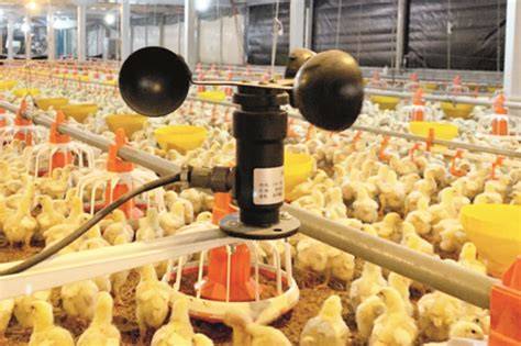MeSuM Di KaNdAnG AyAm reset smart lamp selain itu hapus data aplikasi potong daun kering review produk dengan 319 keunggulan image 1